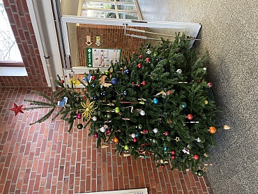 Weihnachtsbaum im Eingang
