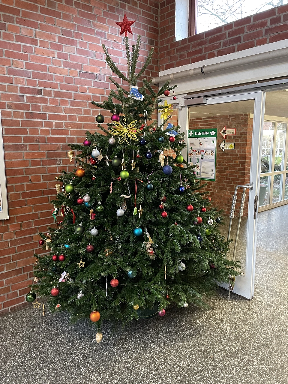 Weihnachtsbaum im Eingang