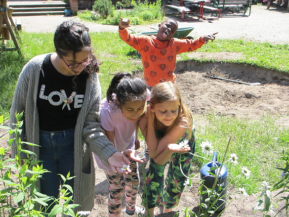 Schulgarten: SchülerInnen des W+E-Bereichs