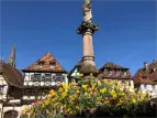 Haguenau